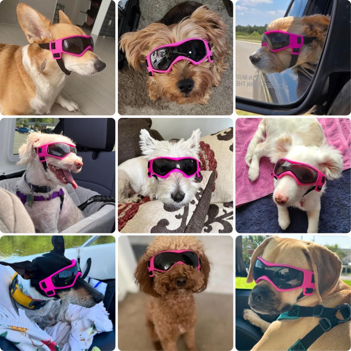 PETLESO Dog Goggles Small Breed,...