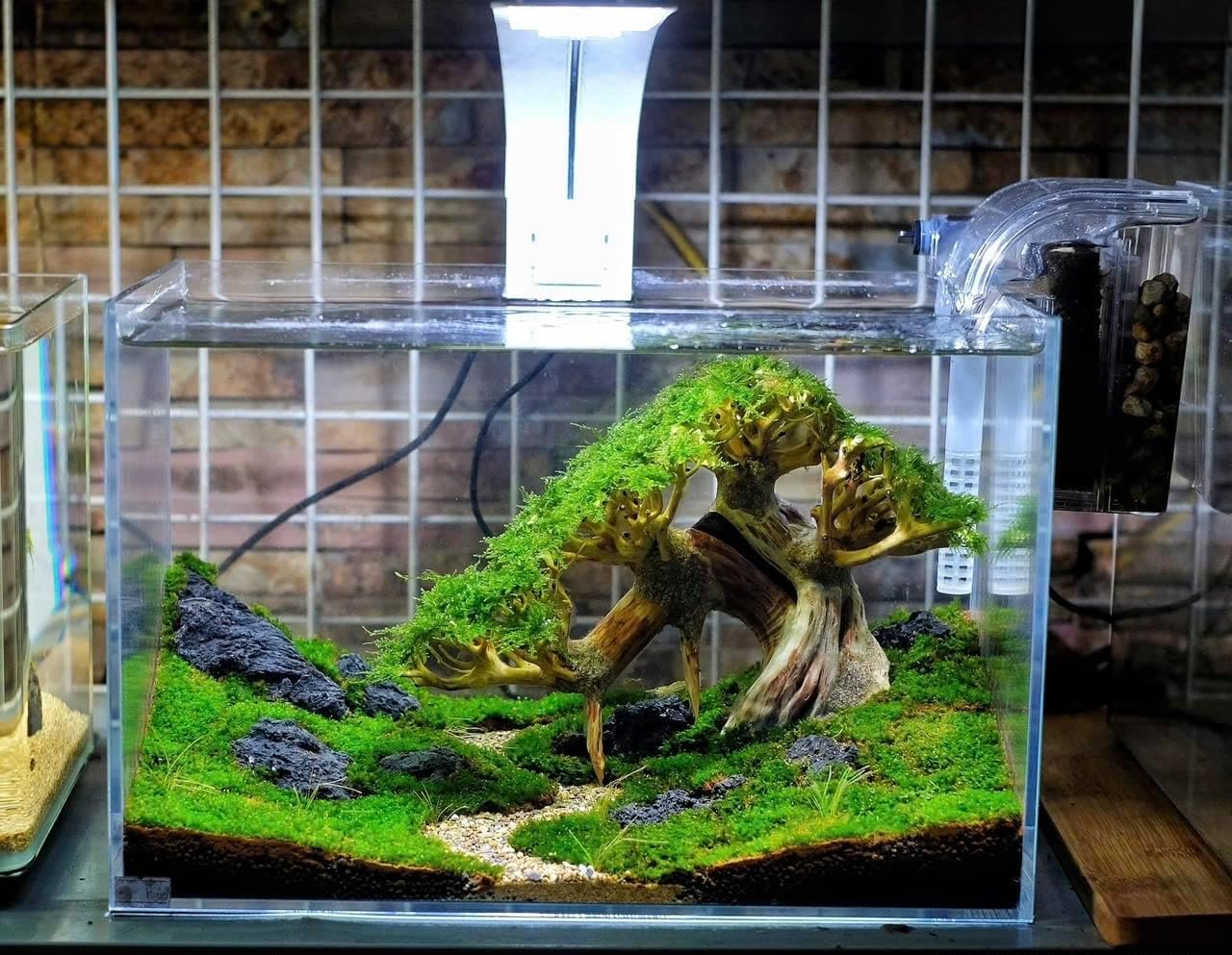 MDW-6063 ブランチウッド 青龍石レイアウトセット 90cm以上水槽用流木