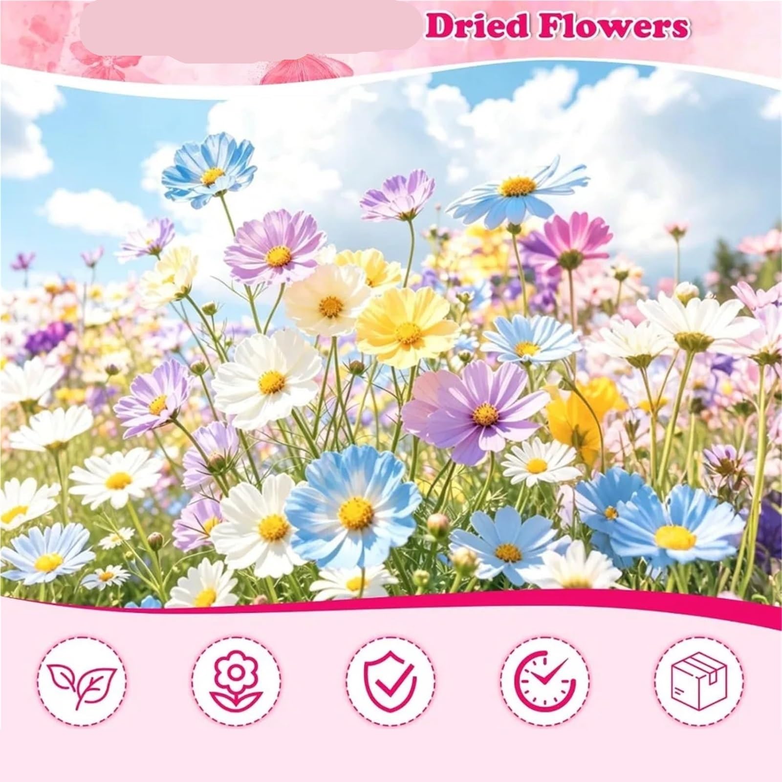 Fiori Pressati ed Essiccati 100 pezzi 5 fogli di fiori pressati secchi