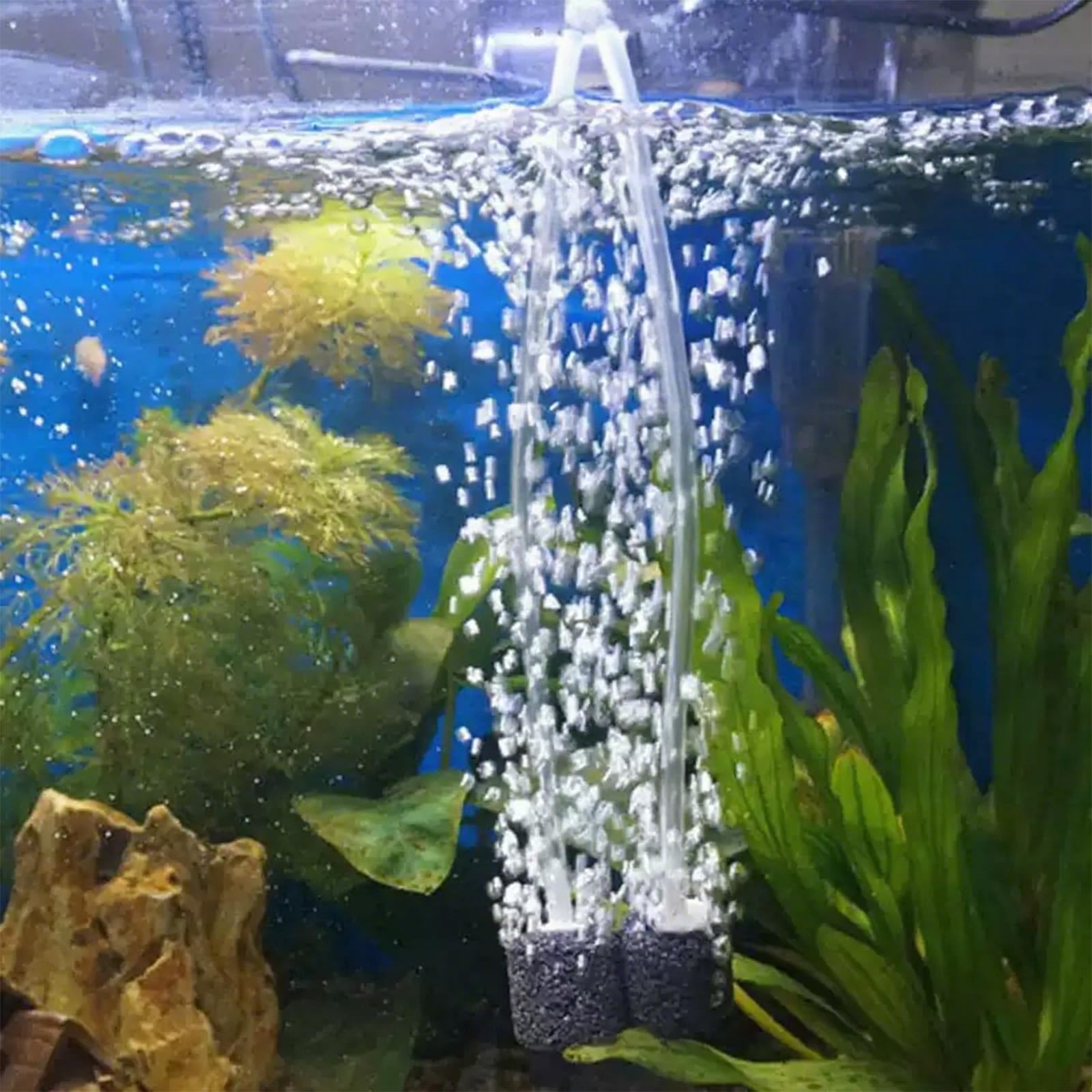 Tuyau d'air pour aquarium, 10 m, standard, 4-6 mm, tuyau de pompe à air souple pour aquarium, terrarium, étang, jardin