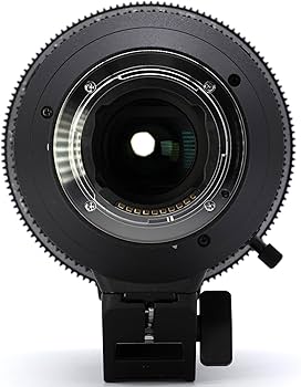 Amazon | SONY(ソニー) 標準ズームレンズ APS-C E PZ 18-110mm F4 G