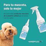 Ver la foto 6