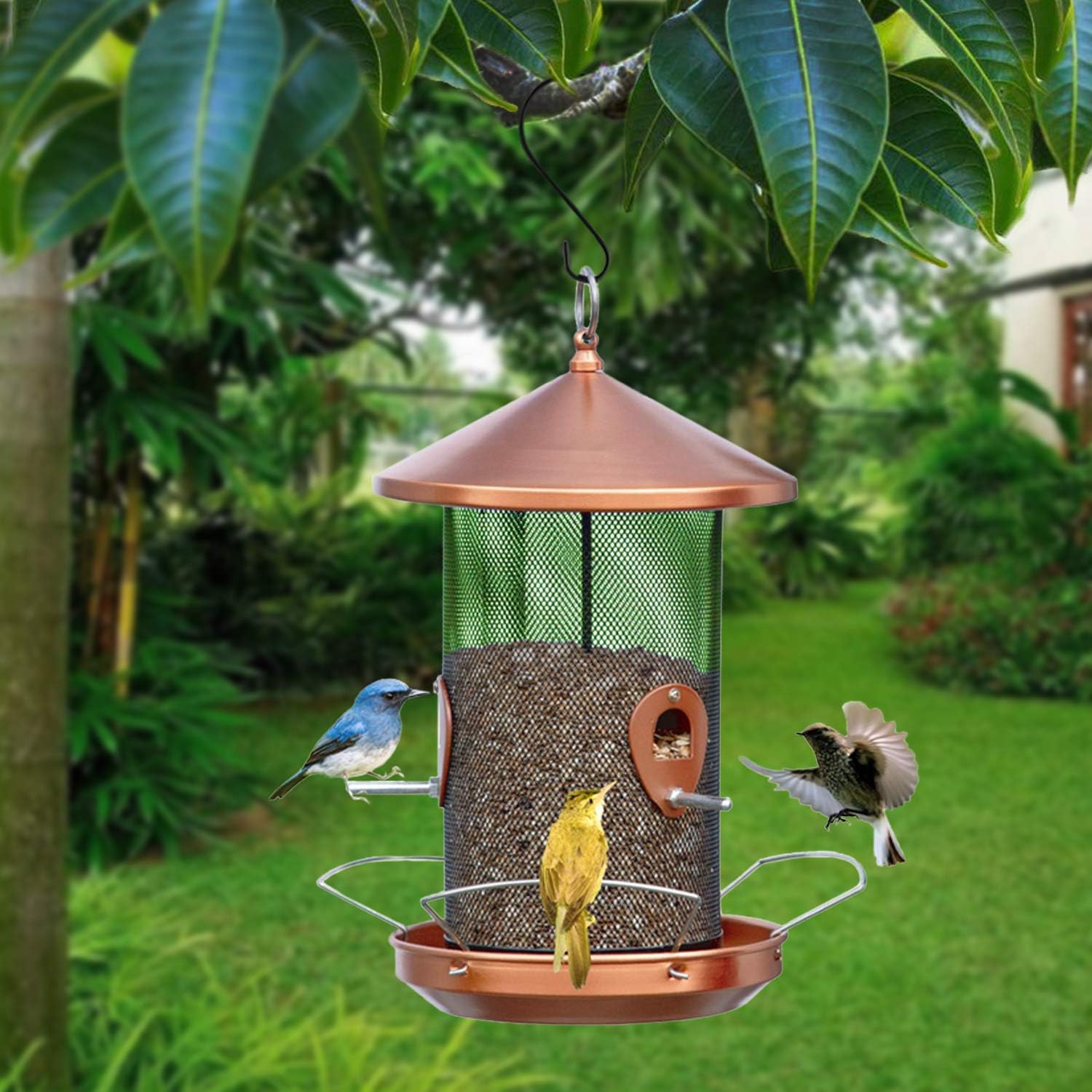 Wild Life Bird Feeder (Brown Color Bird Feeder Eye Glow in The Dark) : Patio, Lawn & Garden