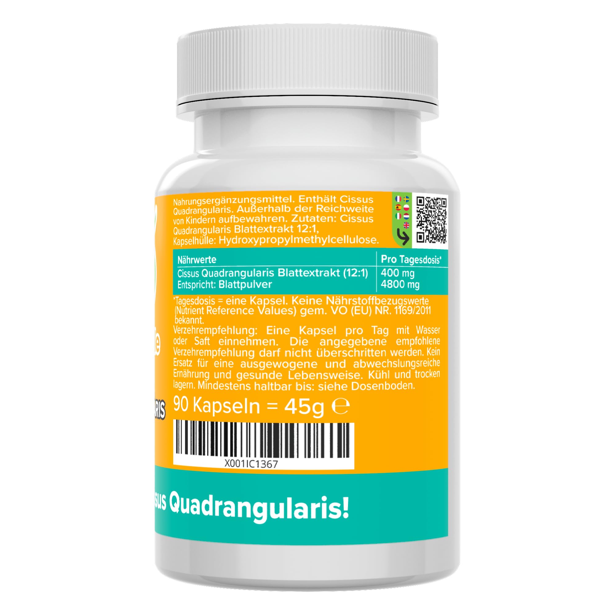 Cissus Quadrangularis Kapseln - hochdosiert 4800 mg (400 mg 12:1 Extrakt) - 40% Ketosterone - bioaktiv & vegan - Produktion in Deutschland - laborgeprüft & ohne Zusatzstoffe - Vitamineule®