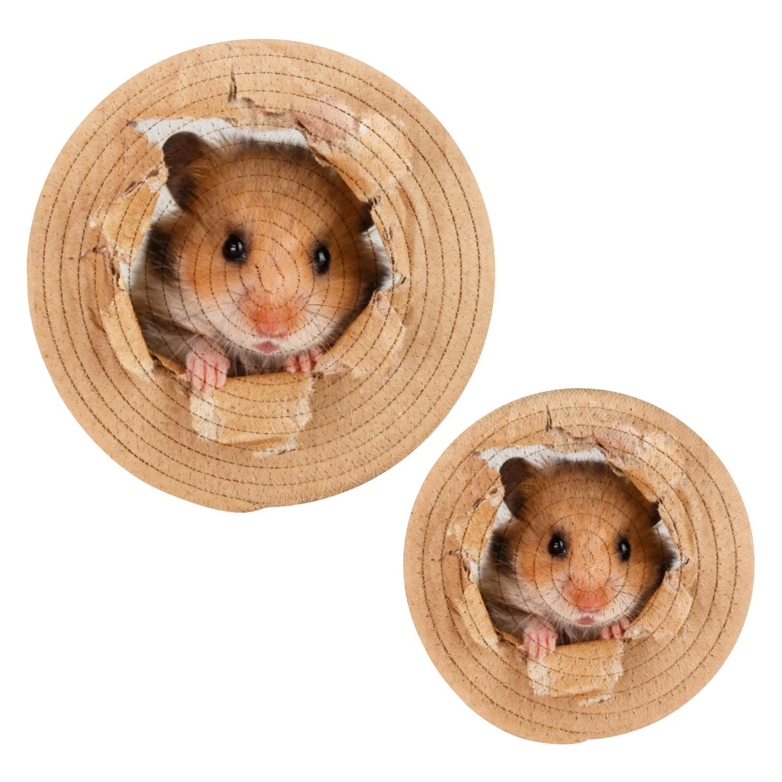 Poeticcity Little Hamster Looking Through a Cardboard Torn Hole 2 Pcs Pot Holders Trivets for Hot Dishes, Heat Resistant Cotton Thread Weave Coasters Hot Pads Mat Potholder for Pans Bowl Pot