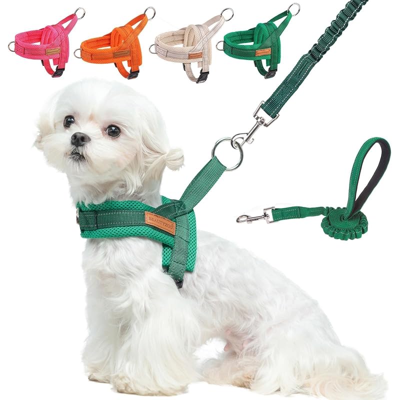 Peitoral vest para cães pequenos com guia elástica BEAUTYZOO Green XS — peito de 38,1 a 45,72 cm