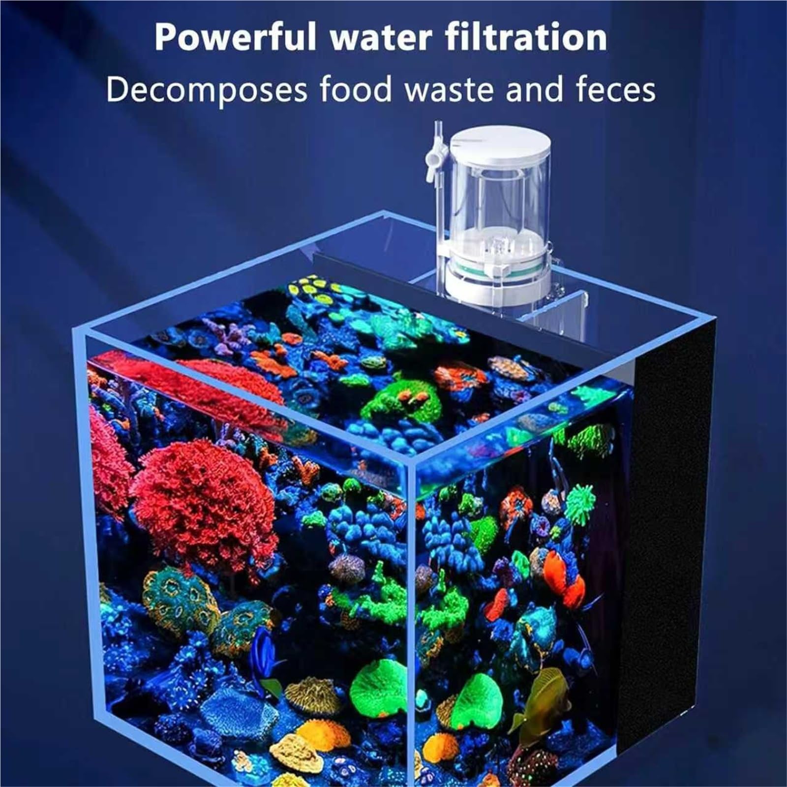 Skimmer de proteínas para acuarios de agua salada | Skimmer de superficie con tubo de aguas residuales | Herramienta de limpieza de filtro separador de recogida