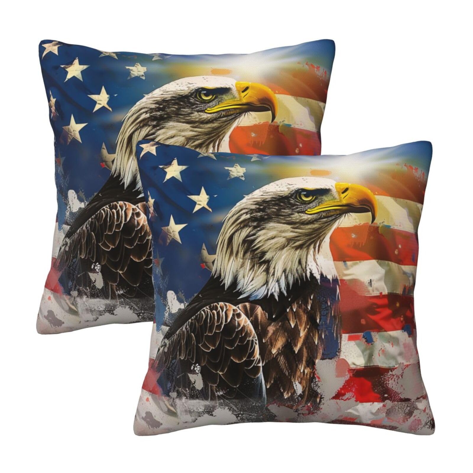 Flag and Eagle Art Throw Pillow Cases 2 Pack Square Pillowcases Soft Pillow Protectors for Couch Livingroom Sofa Bed Office Car,30x30 CM