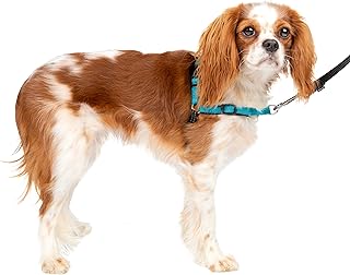 PetSafe Easy Walk Deluxe Anti-Zieh-Geschirr, Verringert Würgen und Husten, Mit Reflektoren ausgestattet, Größe S, Blau