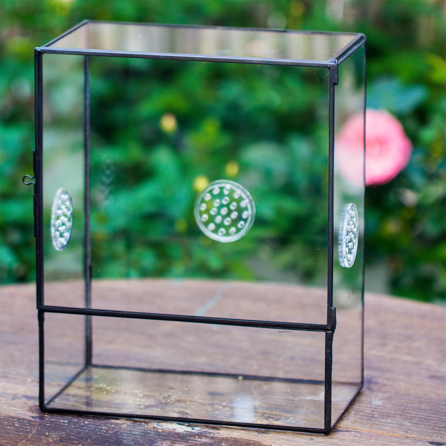 NCYP Terrario in vetro chiuso con porta frontale e 3 prese d'aria per insetti, lumache, ragni, tarantole, 20,3 x 11,4 x 25,4 cm, trasparente, rettangolare, per piante, micro paesaggio