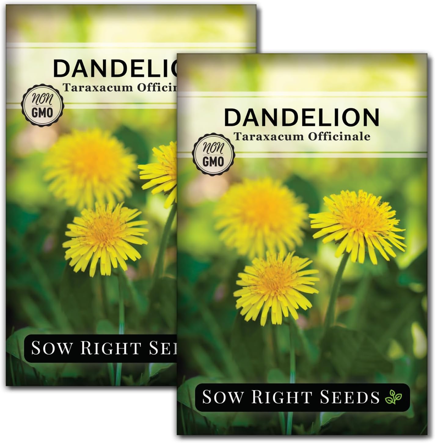 Sow Right Seeds - Common Dandelion Seeds for Planting - Non-GMO Heirloom Packet with Instructions to Grow an Outdoor or Indoor Herb Garden - Herbal Teas & Medicinal Uses - Great for Wildlife (1)