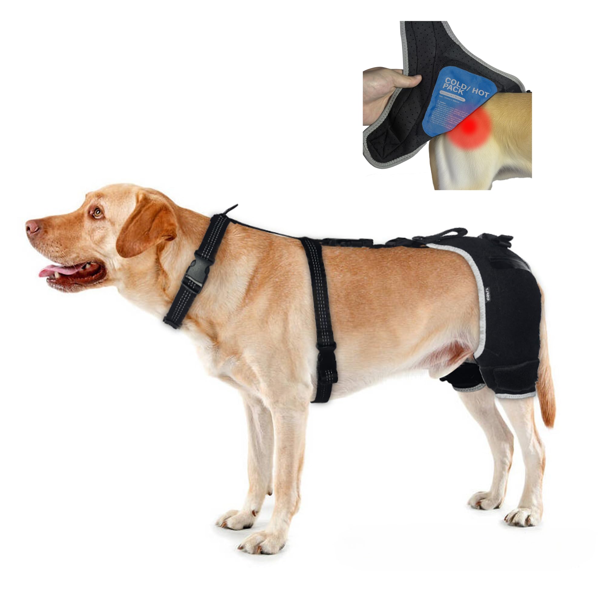 Soporte para displasia de cadera para perros con compresa caliente/fría, soporte de cadera transpirable y cómodo para ligamento cruzado anterior, artritis y movilidad posterior a la