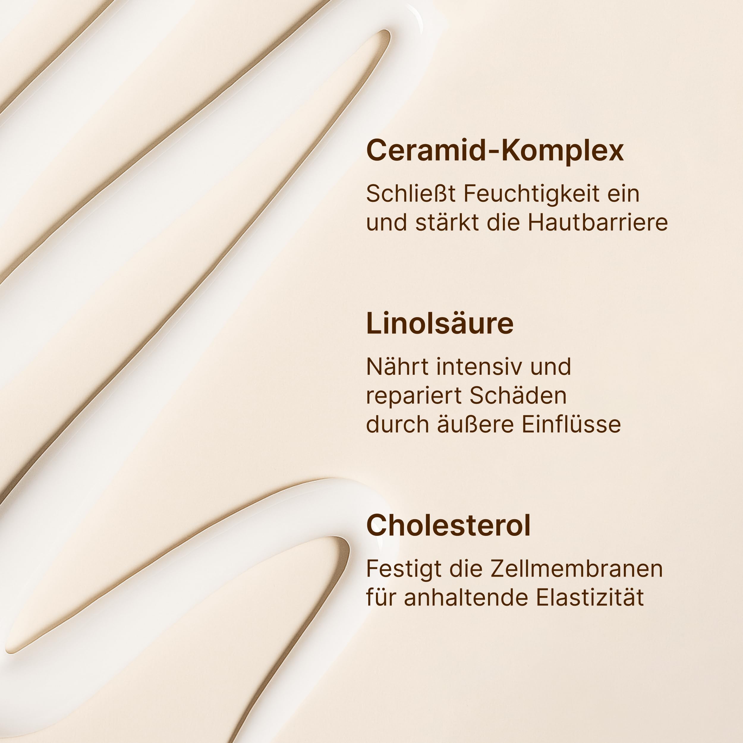 Regenerierende Nachtcreme mit 3 % Ceramide-Komplex – leichte Formel mit Q10 & Panthenol zur Stärkung der Hautbarriere & Regeneration I Für alle Hauttypen I Vegan & cruelty-free