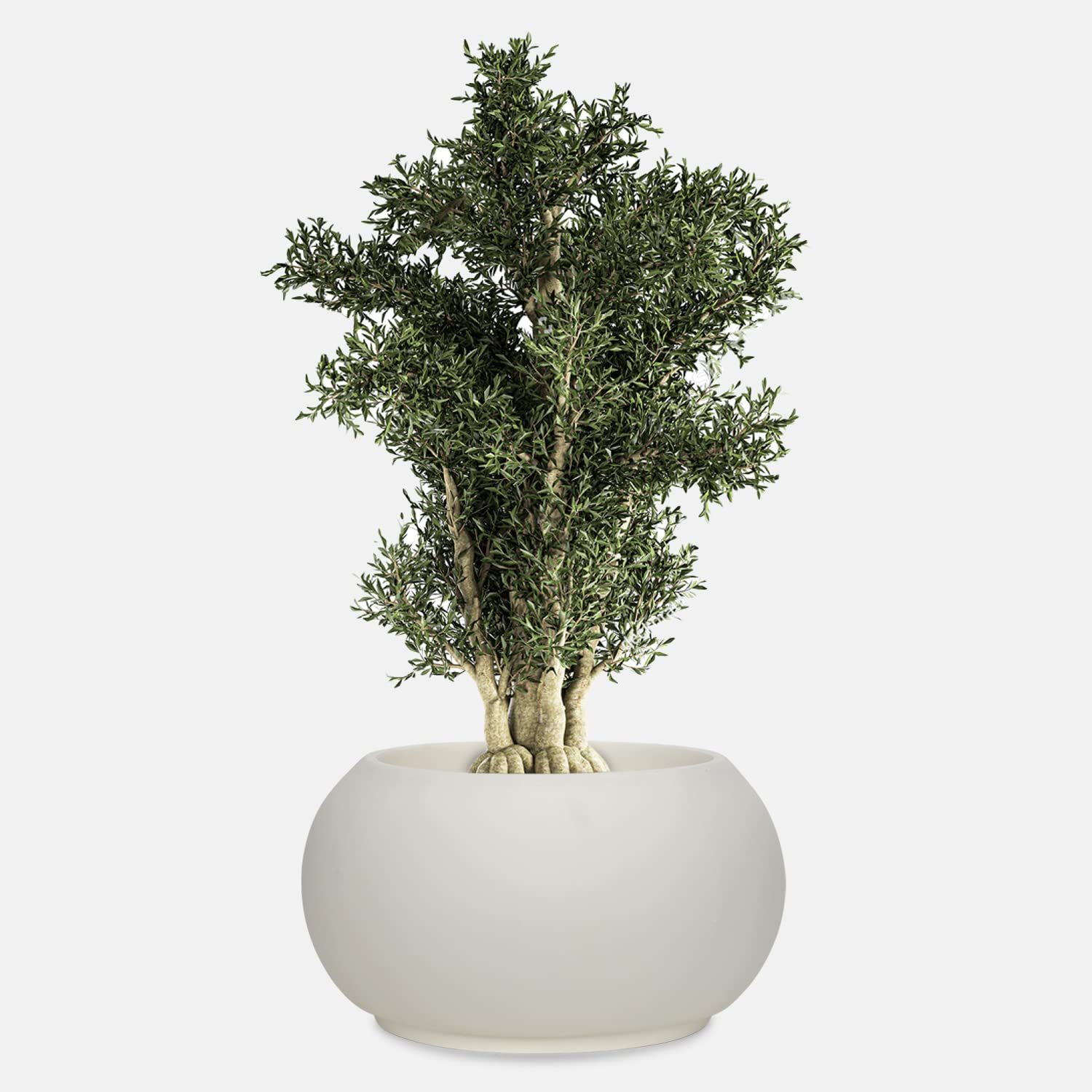 See full amazon price history chart for YUCCABE ITALIA Vozara Plastic AP-KTR Round Planter - White and Brown, 8 Inches, 12 cm YUCCABE ITALIA Vozara Plastic AP-KTR Round Planter - White and Brown, 8 Inches, 12 cm (B07DS4W1KD) Amazon Price History, Amazon Price Tracker