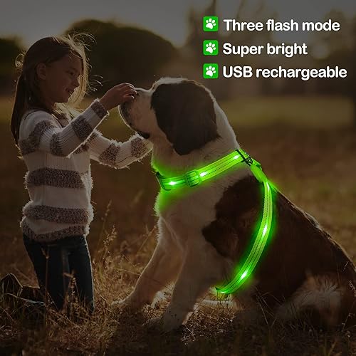 Miniatura 5 de Arnés para perro con luz, arnés LED recargable, arnés iluminado para perro que brilla en la oscuridad, chaleco LED reflectante para perros, luces de