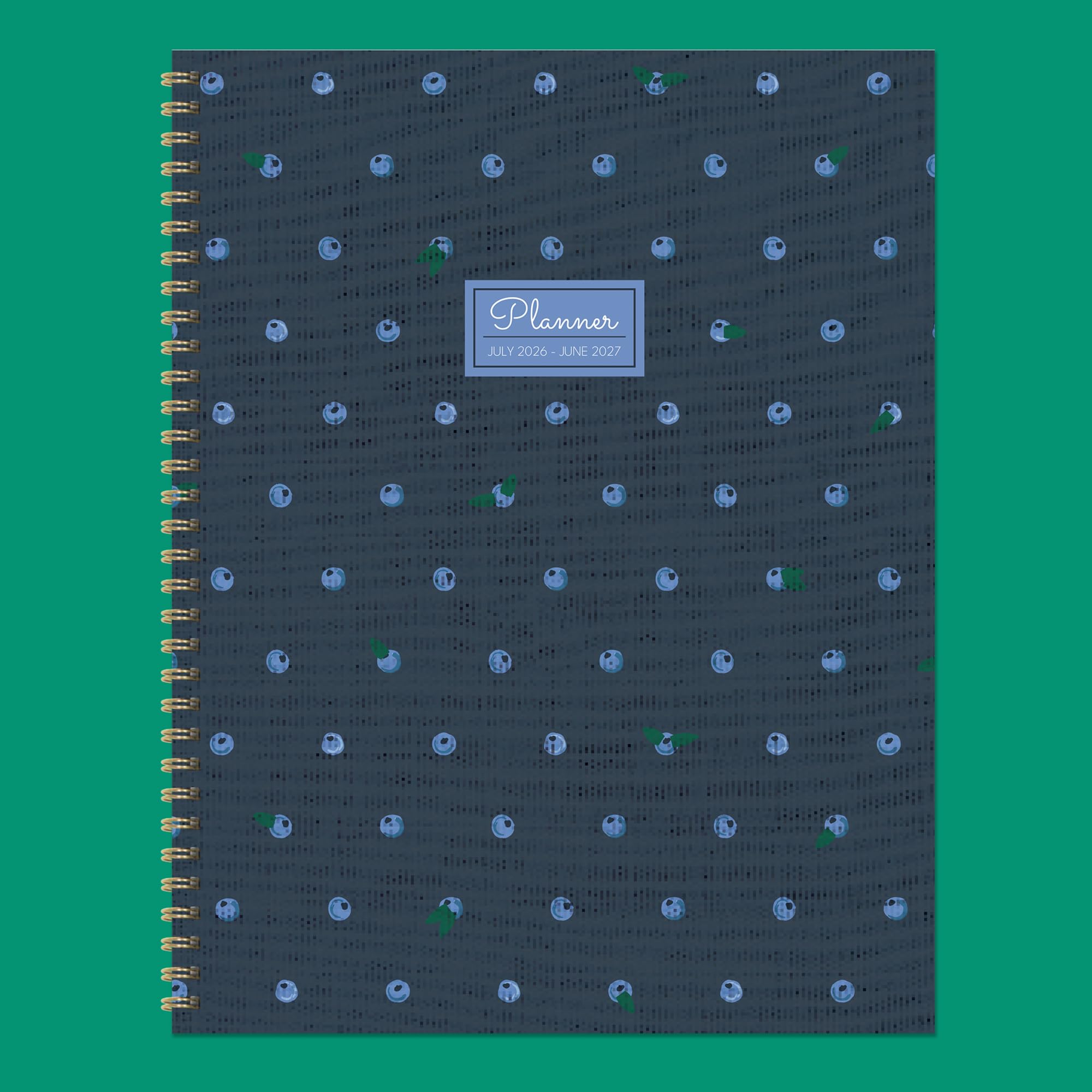 TF Publishing Agenda settimanale mensile da luglio 2026 a giugno 2027, grande, 12 mesi, con copertina resistente, carta bianca spessa, design colorato e adesivi per la pianificazione, 22,9 x 28 cm