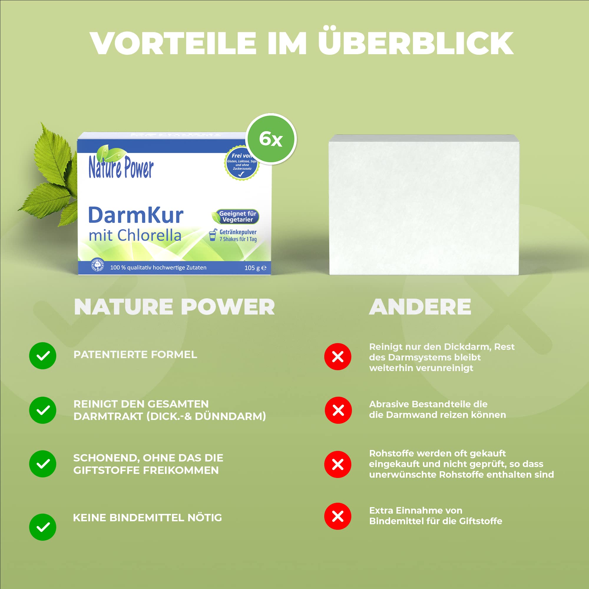 DarmKur mit Chlorella - 6-Tage-Basis-Kur - mit Shakes - 6 x 105 g Pulver - vegan und gentechnikfrei - von Nature Power
