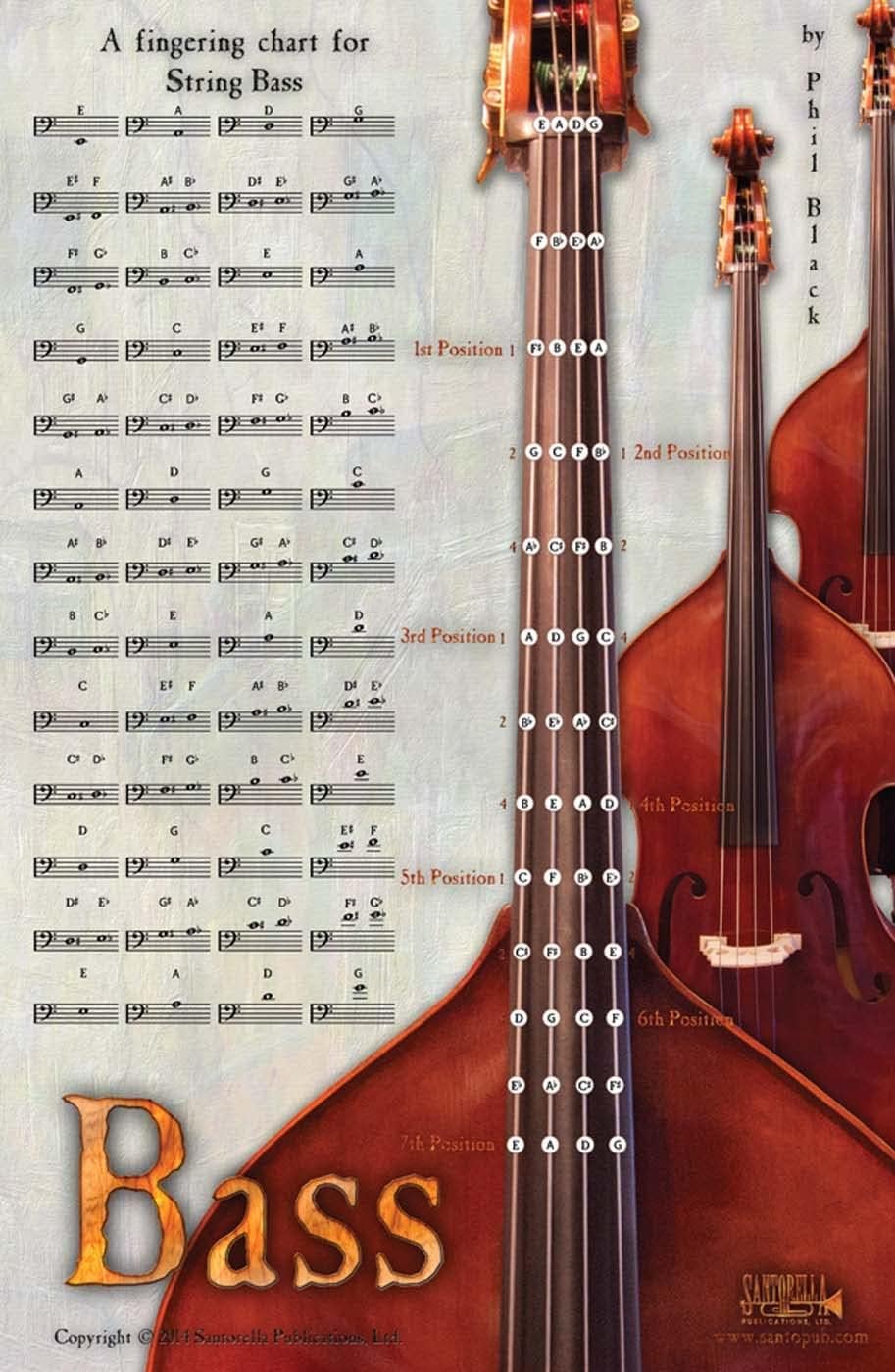 BASS Fingering Chart Poster Board book – February 1, 2014