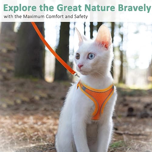 Miniatura 8 de Arnés y correa para gato, chaleco de malla reflectante para caminar al aire libre, arnés a prueba de escapes, chaleco para cachorro, ajuste cómodo,