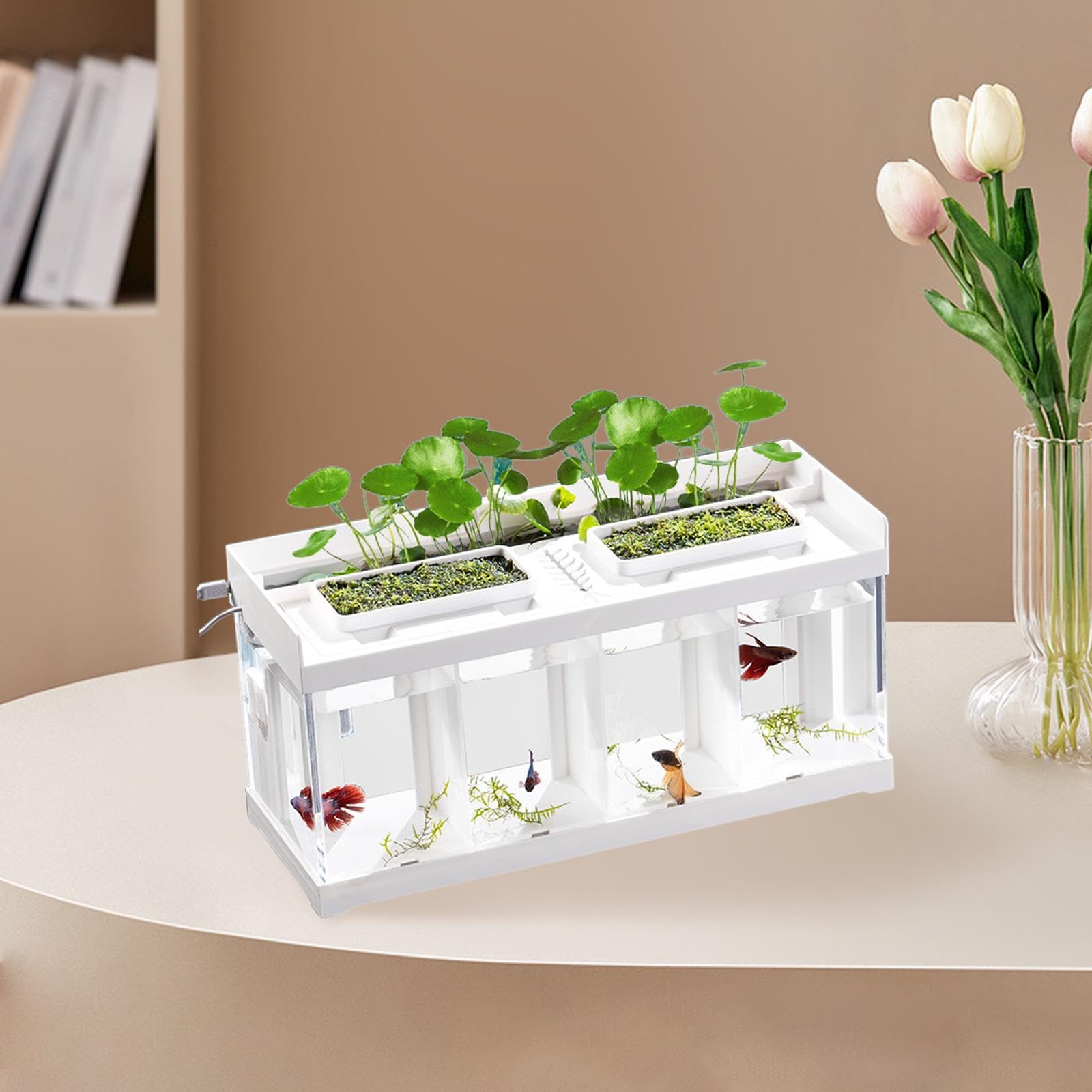 Mini Aquarium mit Integriertem Lichtstreifen Desktop Aquarium Fischzucht Box Aus Stabilem Klarer Fischbehälter mit Dekoration für Betta Fis, 4 Gitter