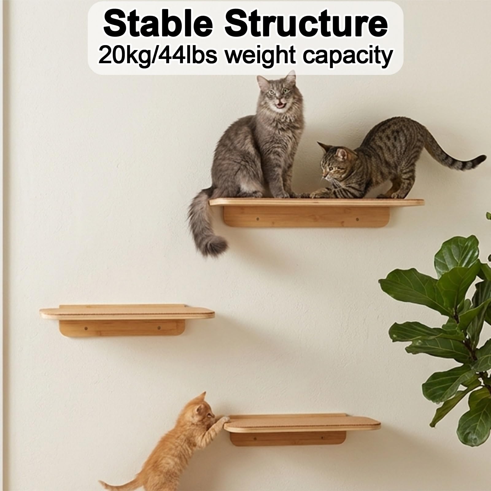 Estantes de Pared para Gatos, Percha de Pared de Madera de Pino de 65 cm, con Capacidad de Peso de 20 Kg para Dormir Y Jugar