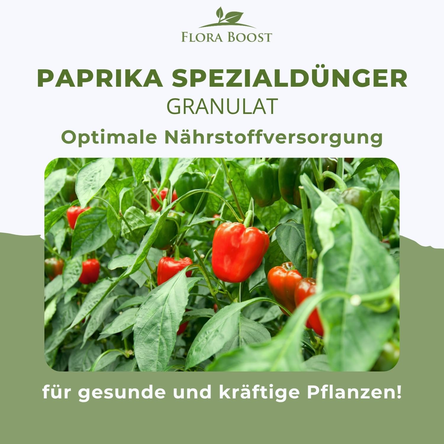 Flora Boost PRO Paprika Dünger 5 kg I NPK 7-4-6 mit Magnesium für Paprika & Chili I Gemüsedünger für kräftiges Wachstum, starke Blütenbildung & hohe Erträge
