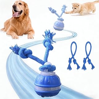 Interaktives Hundespielzeug, Interaktiver Spielball für Hunde, Hundespielzeug Unzerstörbar, Elektrisch Hundespielzeug Ball mit Fernbedienung, 3 Spielmodi, Hundespielzeug Ball für Katzen