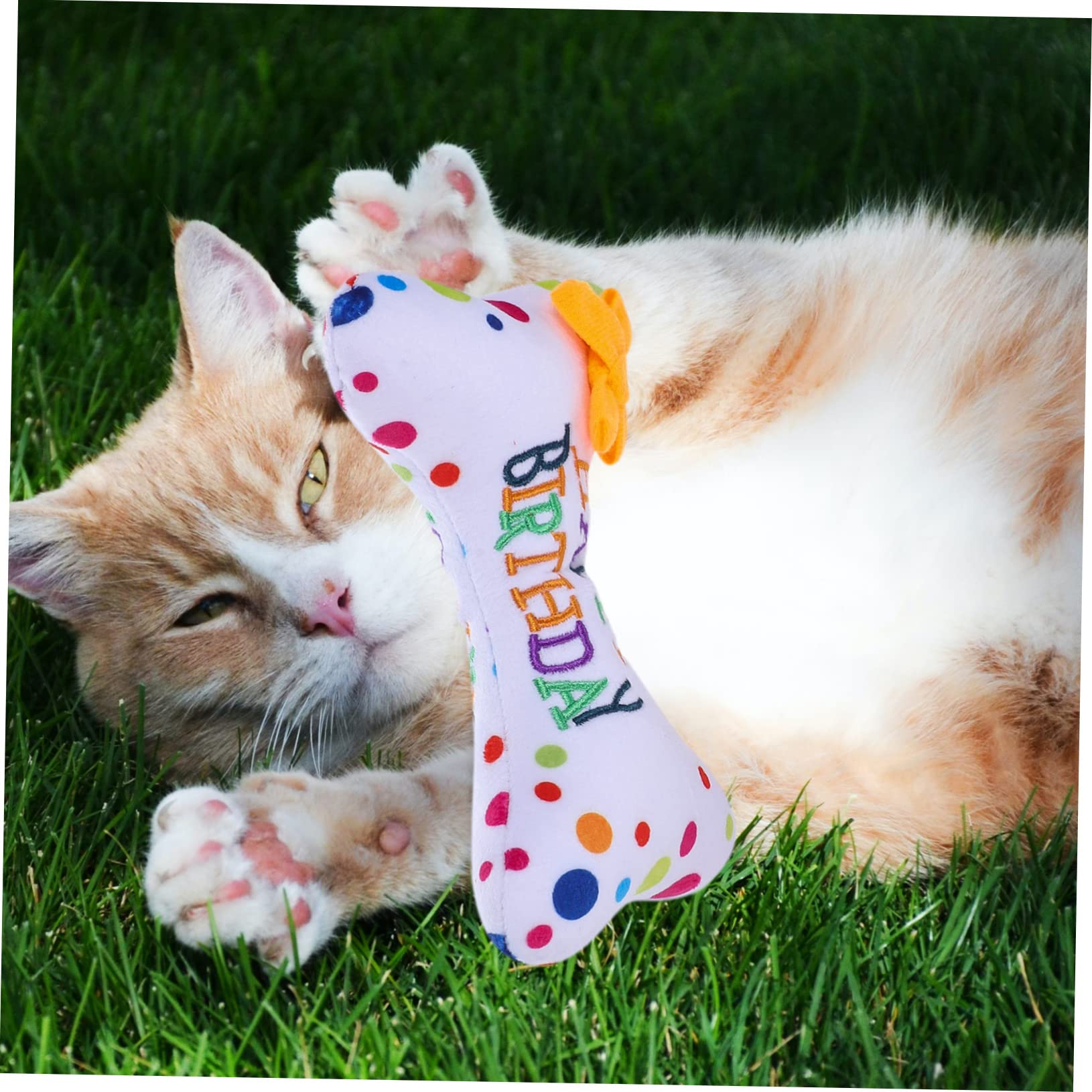 VANZACK 6stücke Teiliges Katzenspielzeug Kuchen Und Squeaky- Lustige Geburtstagsgeschenke Für Katzen Spielzeug Beschäftigung Und Zahnpflege Für Kätzchen