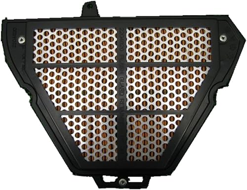 Triumph Filtro de aire T2204820