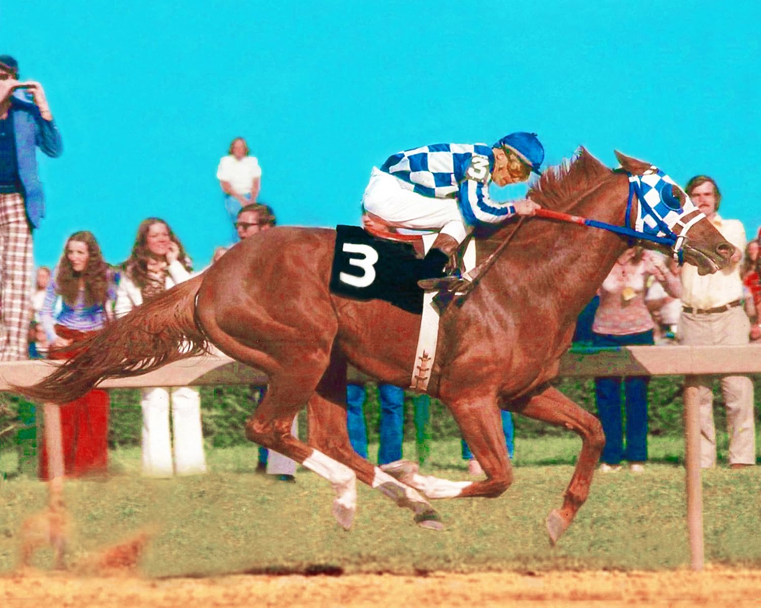 SPORTSPHOTOSUSASecretariat 1973 Preakness Stakes Triple Crown Champion Horse Racing 8x10 Photo, 331603565924