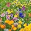 Bee Flower Mix