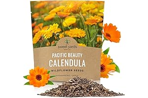 Calendula 'Pacific Beauty Mix' - Extra Large Packet - Over 3,000 Open...