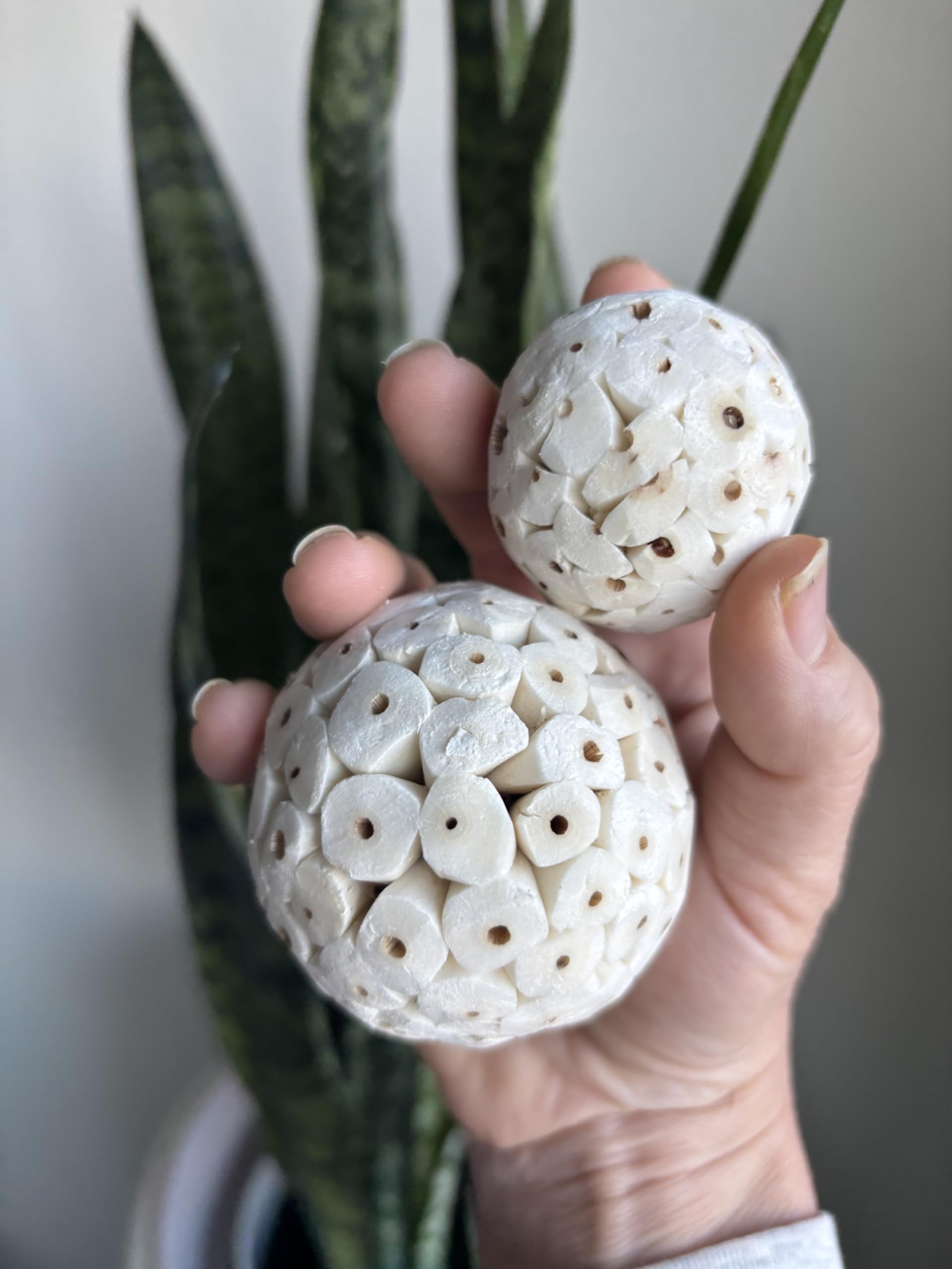 Sola Wood Bird Toy Bundle - Sola Balls & Sola Logs, Shreddable Chew Toys, Foot Toys, for Medium Birds, 10 Piece Set - image 7