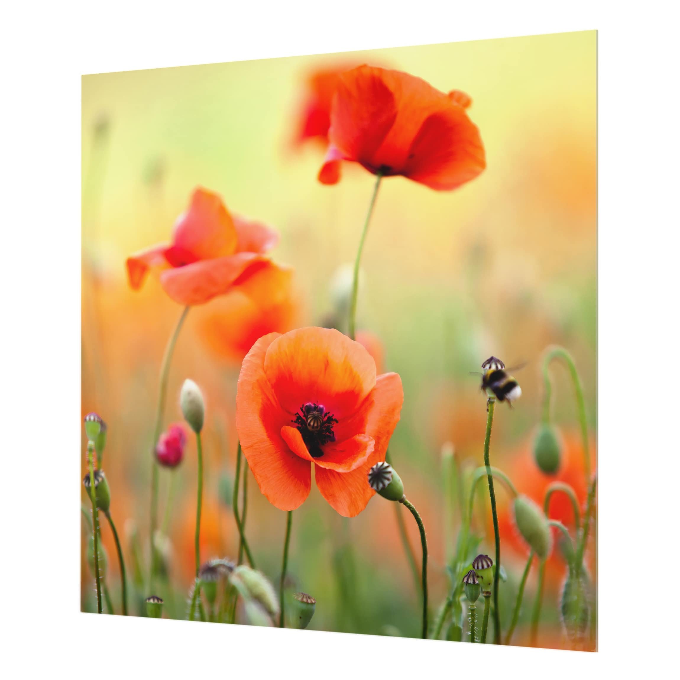 Fond de hotte avec support épaisseur 4mm fleurs crédence cuisine coquelicot verre trempé panneau mural vert crédence en verre motif cuisine 1973 (60x59cm)