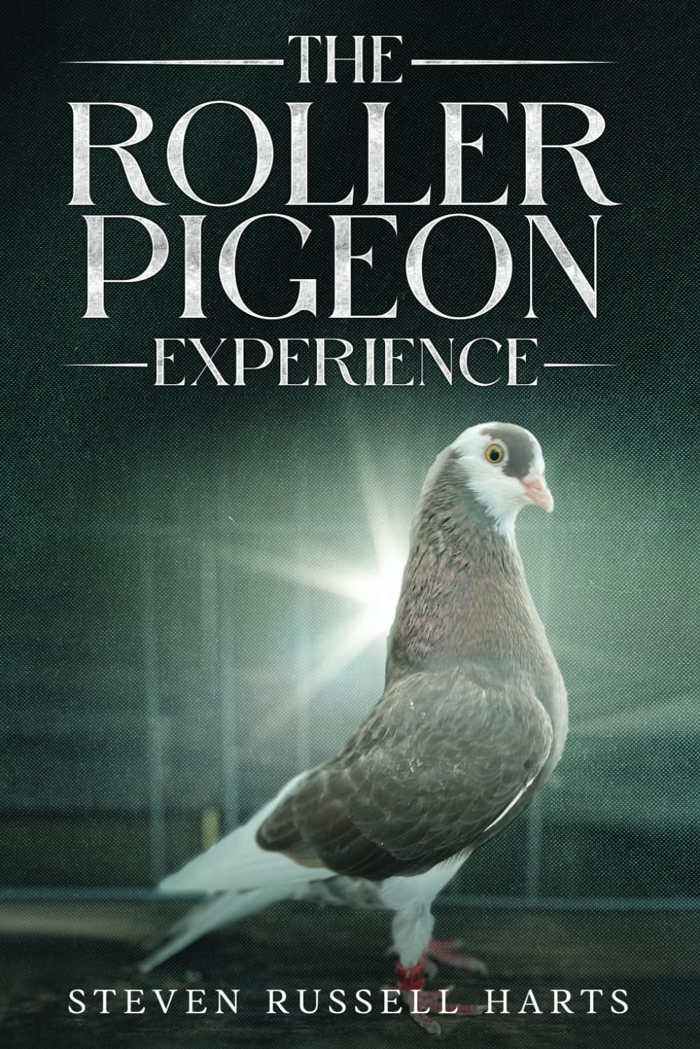 The Roller Pigeon Experience: All you need to know about roller pigeons      Paperback – December 16, 2024