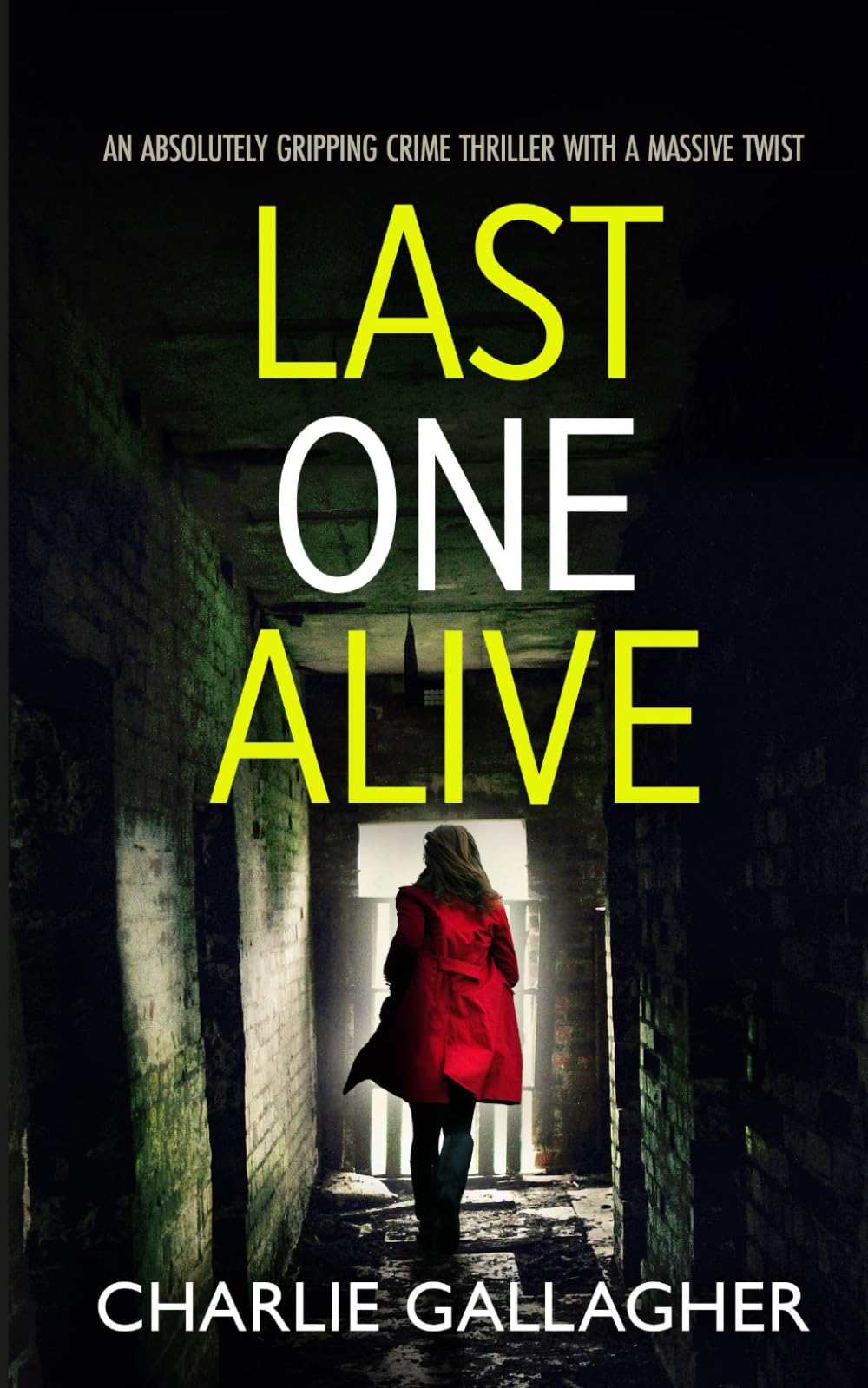 LAST ONE ALIVE an absolutely gripping crime thriller with a massive twist (Detective Maddie Ives)