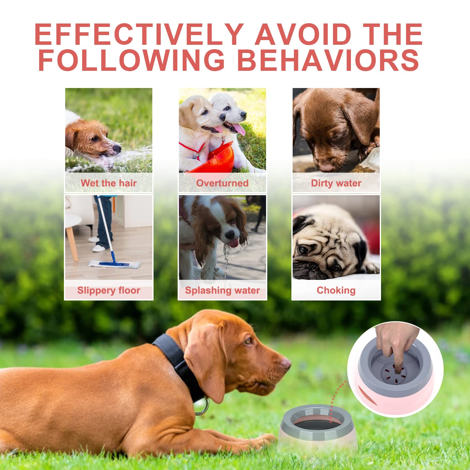 Pet Floating Water Bowl, Anti-Overflow Slow Drinking Dog Bowl, Portable Travel Dog Water Bowl - Image 2