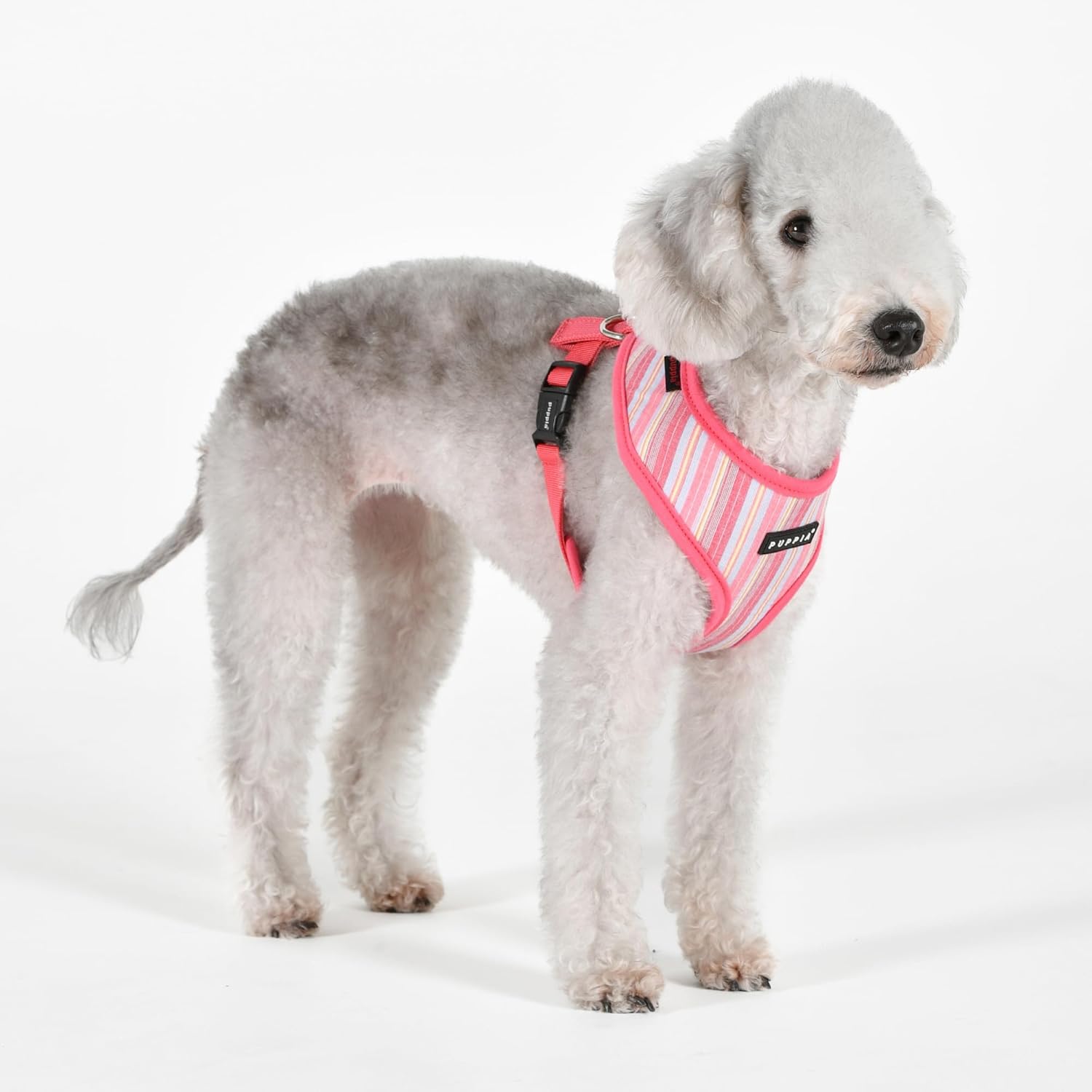 Puppia Theros Dog Harness A (Over-The-Head) Fashionable Striped Pattern Spring Summer Harness for Small and Medium Dogs, Pink, Medium