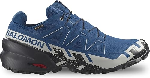 Salomon X4 Mid GTX Hiking Boot
