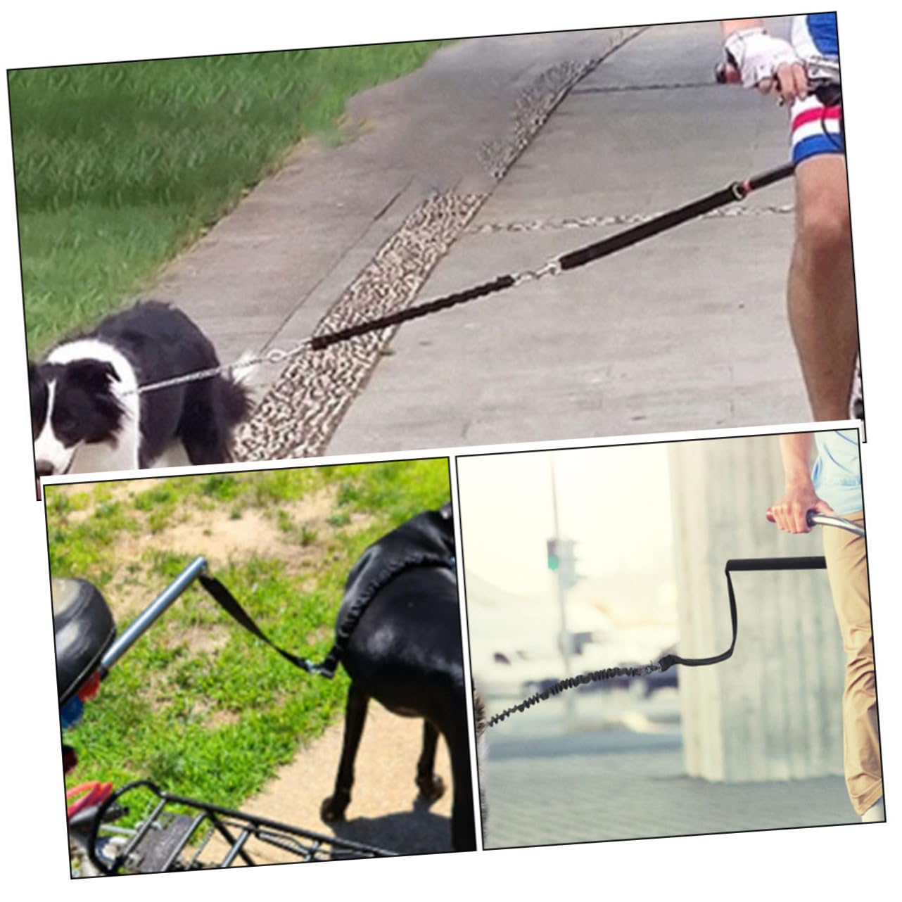 Guinzaglio da Bici per Cani Rimovibile, Robusto, Nero | Tessuto Oxford e Lega, per Cani Piccoli e Medi, per Camminata e Caccia, Ampia Libertà di Movimento