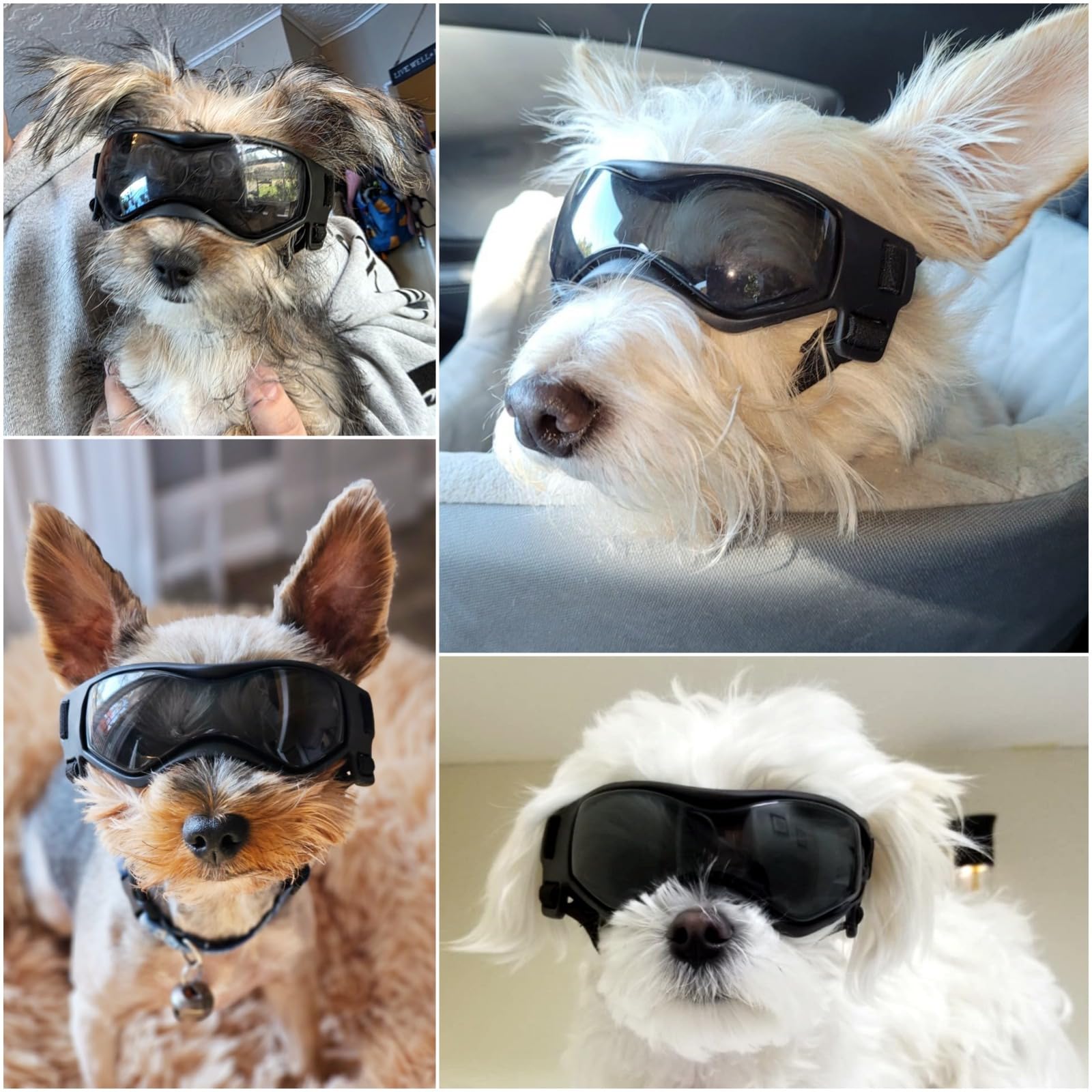 Enjoying Occhiali per Cani Taglia Piccola, Occhiali da Sole per Cucciolo Moto, Gatti Adulti Occhiali Cane, Protezione UV, Regolabile, Cool Nero