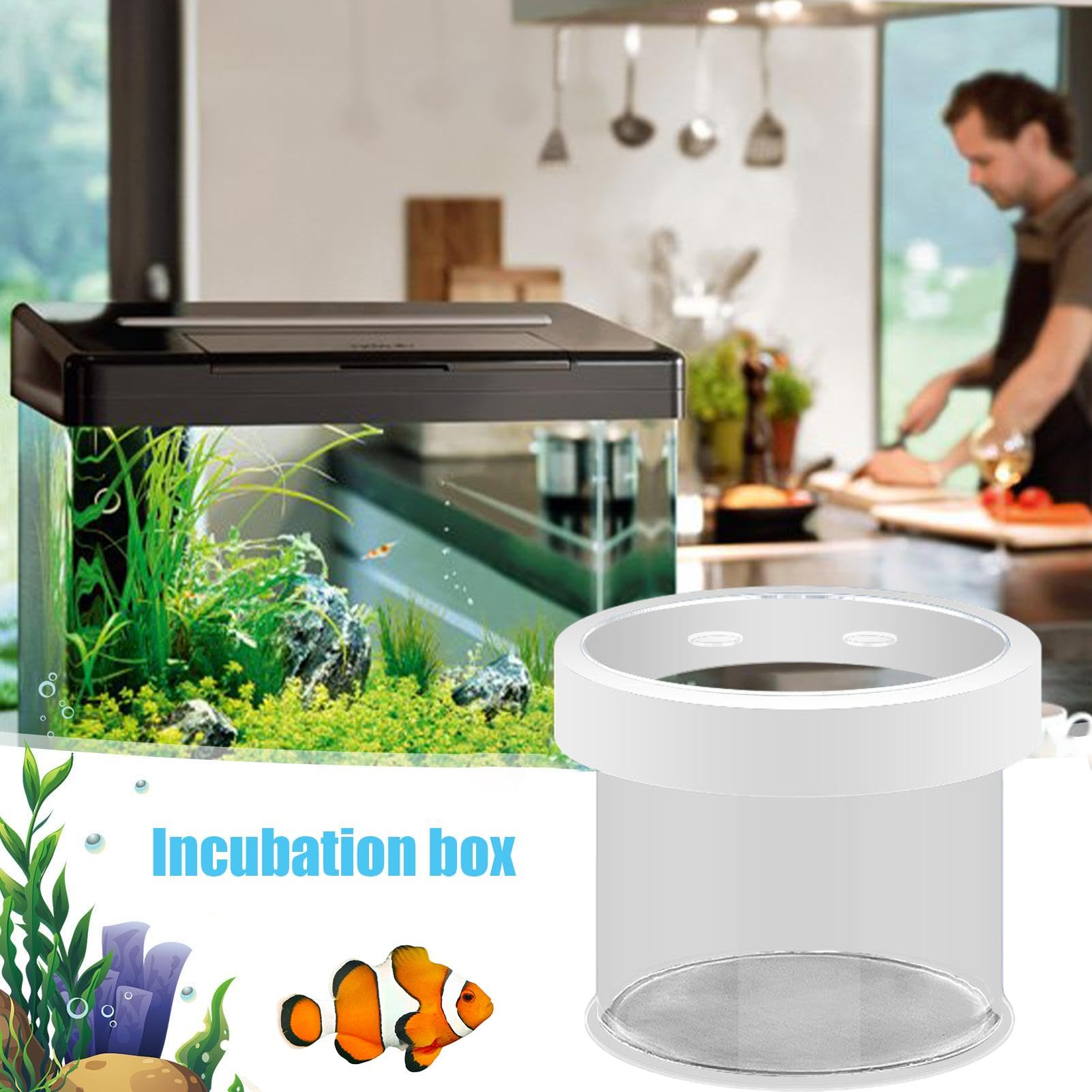 Scatola Di Allevamento Per Acquario In Acrilico – Incubatrice Galleggiante Con Divisori, Ventose E Porta Di Alimentazione, Per Avannotti E Gamberetti