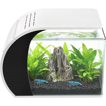 Aquarium Komplettset 19L 42x23 x31.5cm Fish Tank mit Aquarium Pumpe mit LED Beleuchtung 3-Farben Glasaquarium mit Verborgen-Filter & Gebogen Frontscheibe