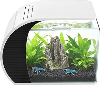19L Aquarium Komplettset LED Glasaquarium-Set, Einsteigerbecken Eingebautem Filtersystem, Aquarium mit Beleuchtung für Fisch, Ziergarnelen, Krabben und Wasserpflanzen, 42.3 × 22.6 × 31.5 cm