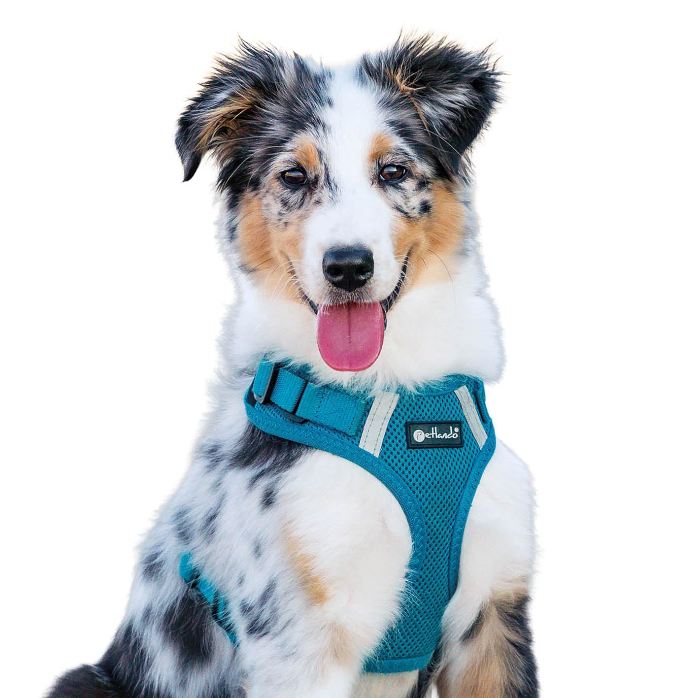 Petlando Hundegeschirr Mesh Vest, leichtes Brustgeschirr aus weichem Mesh & Nylon, stufenlos verstellbar, reflektierend mit 2 D-Ringen, Petrol L, Geschirr Hund gepolstert
