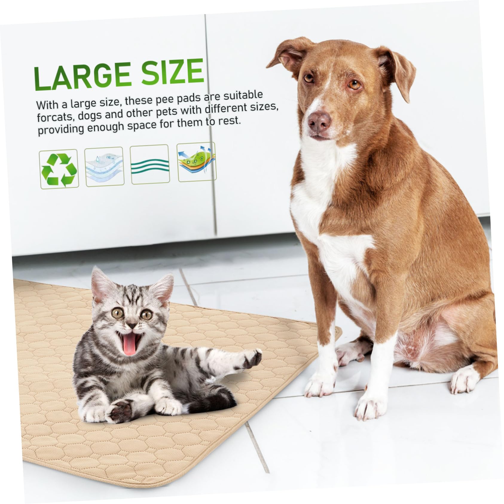 2pezzi Tappetini Igienici Assorbenti Lavabili Per Cani e Gatti Superficie Assorbente e Base Antiscivolo Per Addestramento e Comfort Degli Animali Domestici