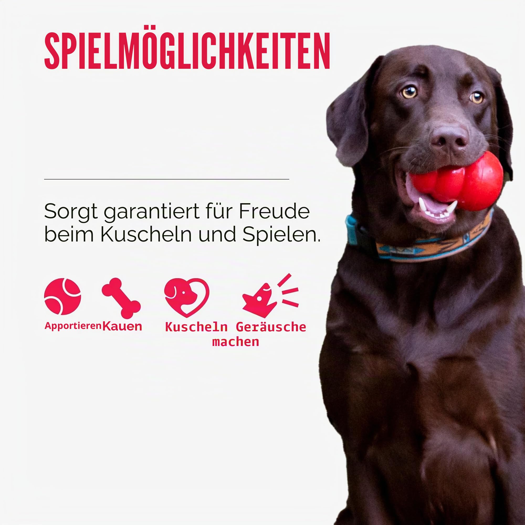 KONG – Cozie Marvin Moose – Quietschendes Hundeplüschtier für Drinnen – Für Sehr Große Hunde
