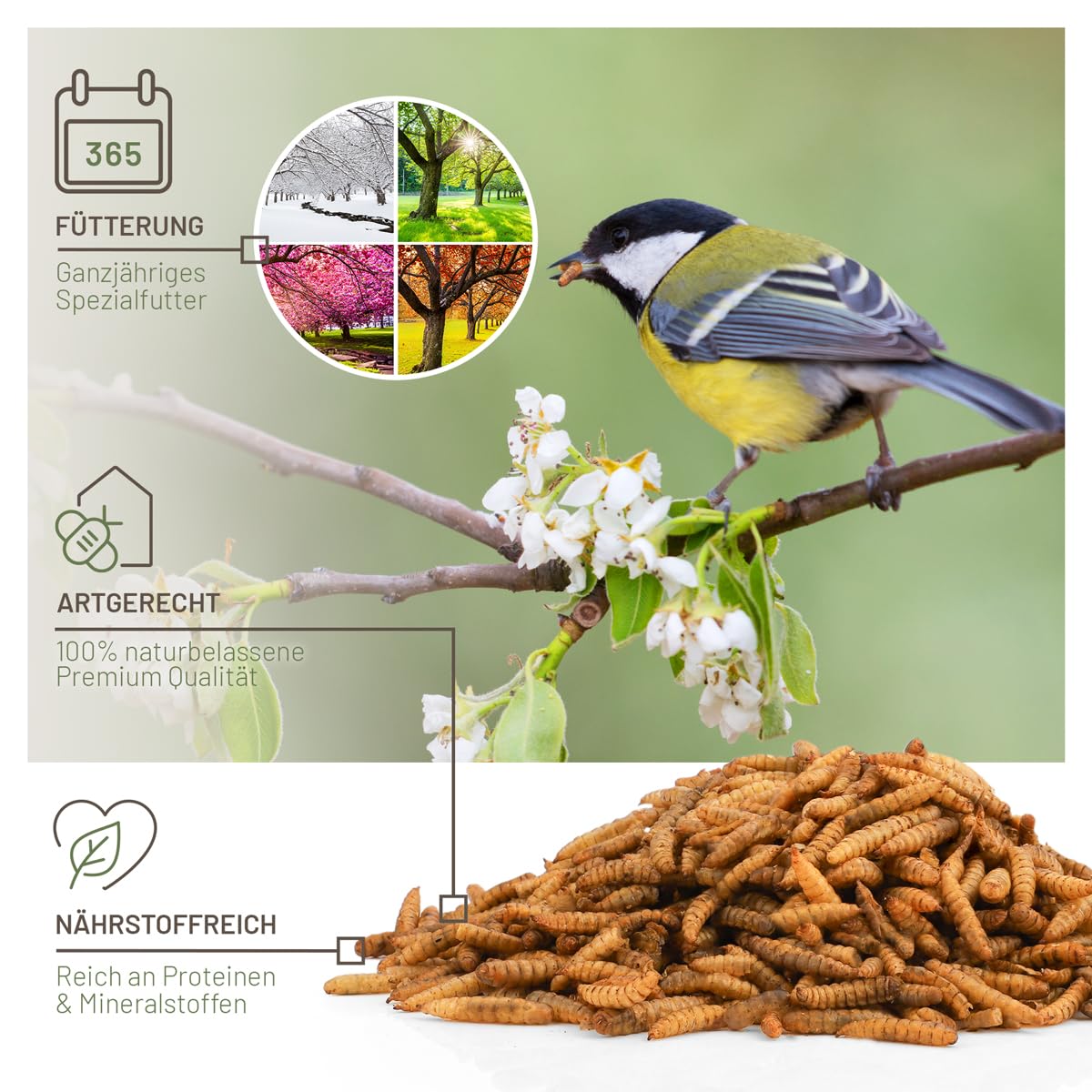 wildtier liebe Larves de mouches soldats séchées 5 l I Larves de mouches soldats séchées pour oiseaux et hérissons I Nourriture riche en protéines pour oiseaux sauvages pour l'alimentation toute