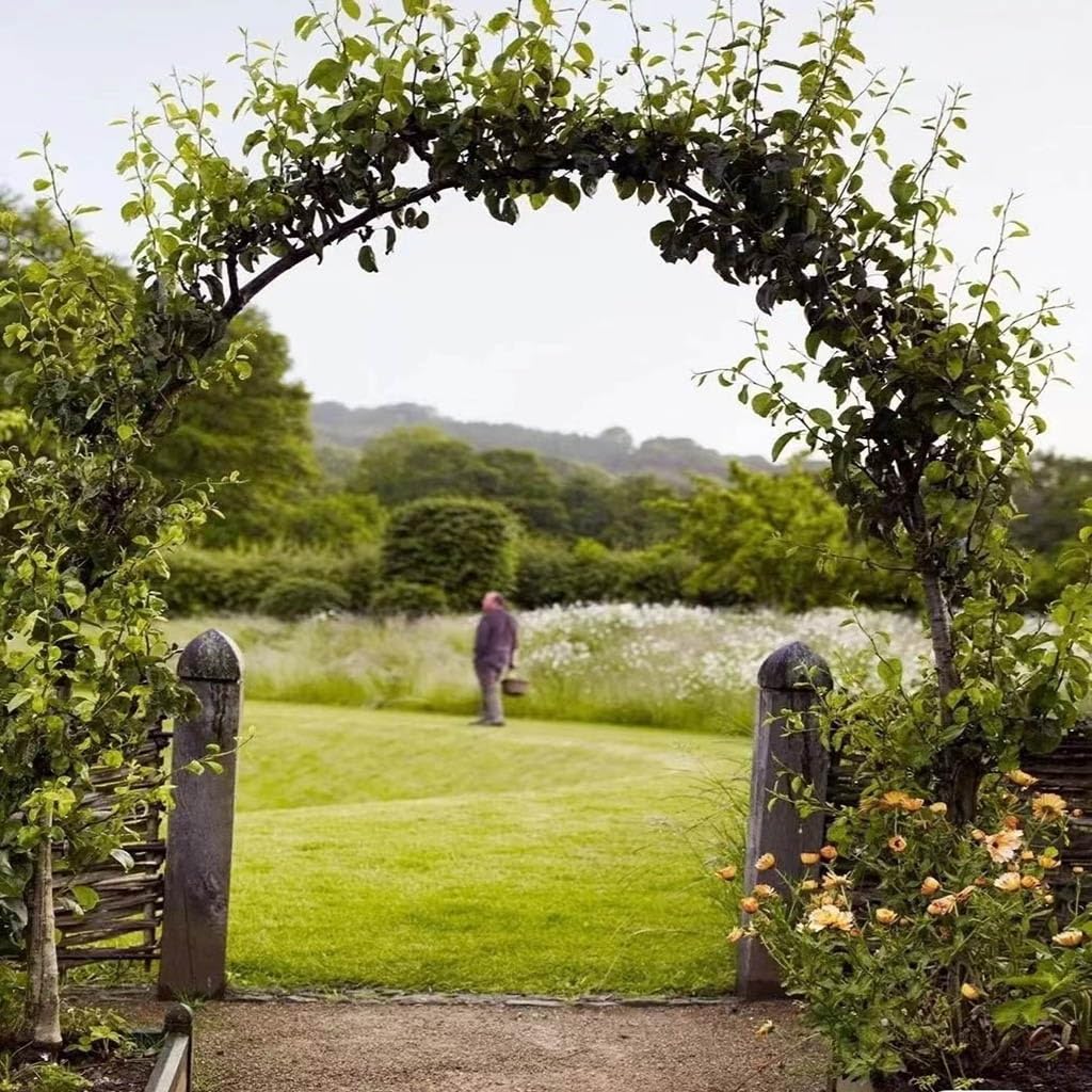 Gartenbogen aus Metall, 240 cm, Rankhilfe für Kletterpflanzen, Rosen und Reben, starke Unterstützung für Gartenparty-Dekoration, Eisenlaube für Blumen und Pflanzen
