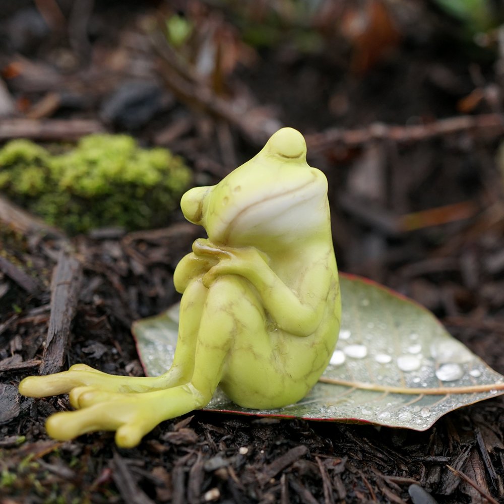 Top Collection Miniature Fairy Garden and Terrarium Statue, Frog Resting - Image 2